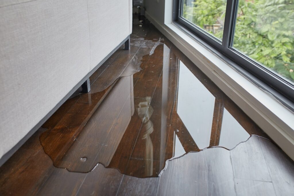 Deal with Flood Damage | House of Carpet