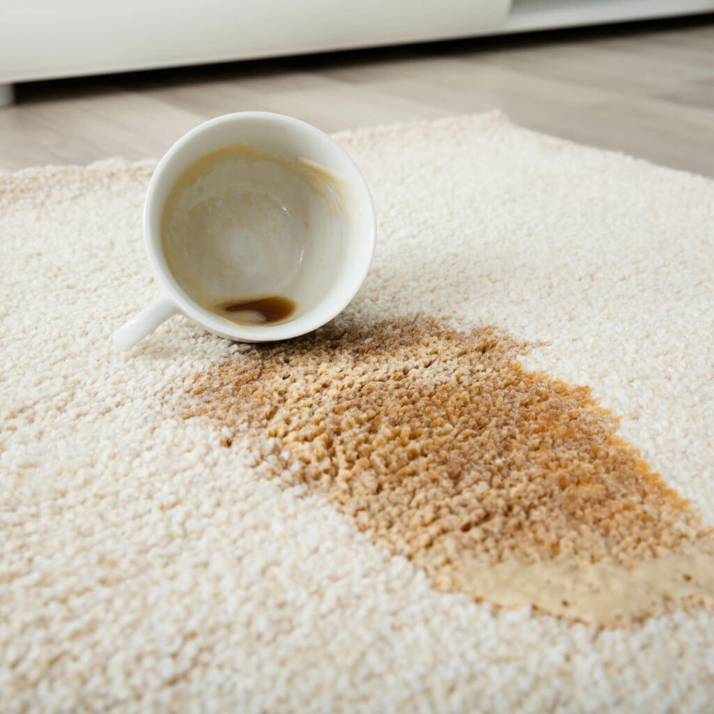 Professional Rug Cleaning | House of Carpet